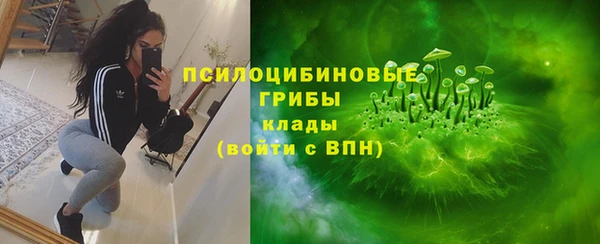крисы Алзамай