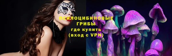 крисы Алзамай