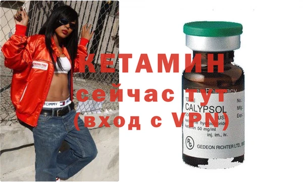 крисы Алзамай