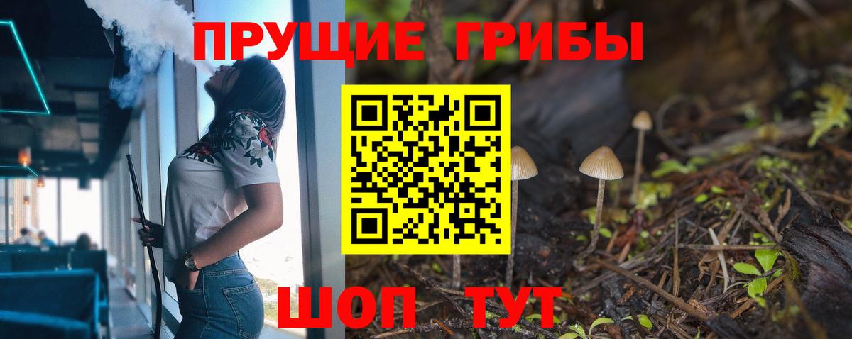 Десногорск  Галлюциногенные грибы Magic Shrooms  закладка  Вход с VPN 